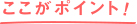 ここがポイント!